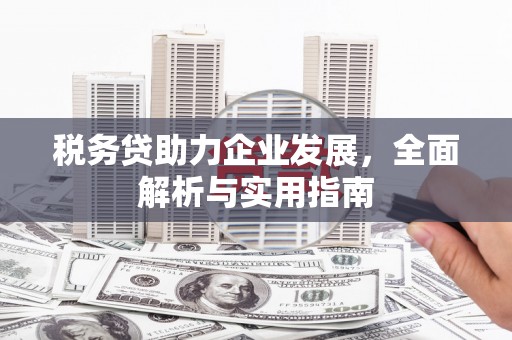 后里税务贷助力企业发展，全面解析与实用指南
