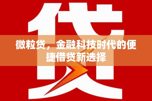 后里微粒贷，金融科技时代的便捷借贷新选择
