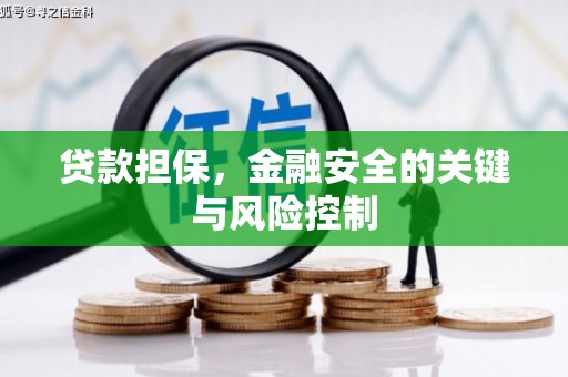 后里贷款担保，金融安全的关键与风险控制