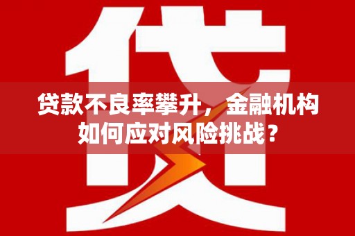 后里贷款不良率攀升，金融机构如何应对风险挑战？