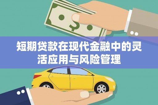 后里短期贷款在现代金融中的灵活应用与风险管理