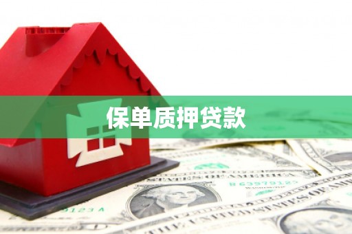 后里保单质押贷款