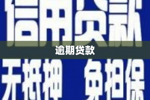 后里逾期贷款
