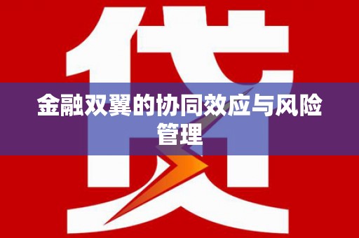 后里金融双翼的协同效应与风险管理