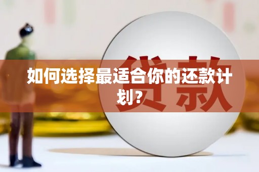 后里如何选择最适合你的还款计划？