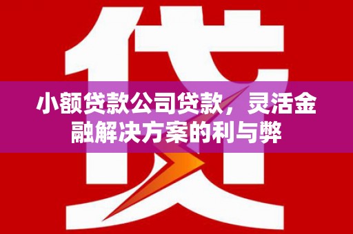 后里小额贷款公司贷款，灵活金融解决方案的利与弊